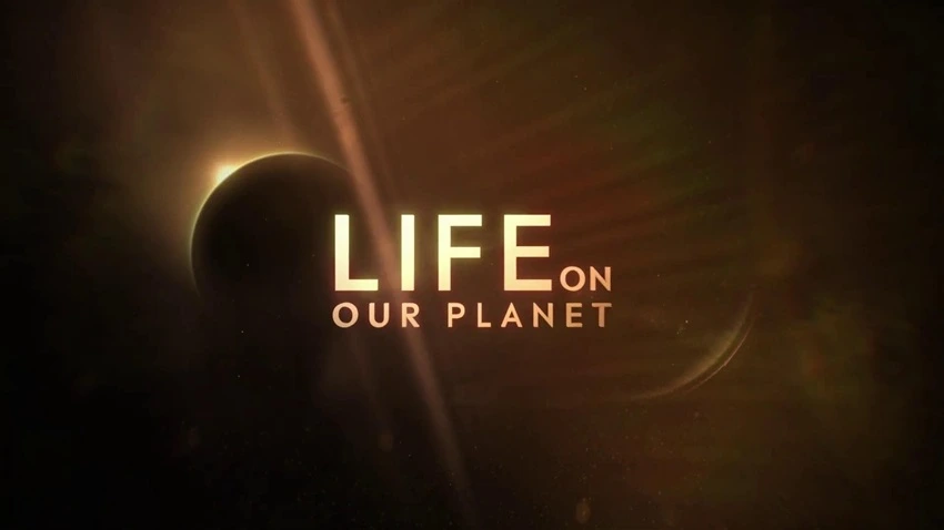Download Life On Our Planet | 2023 | Season 1 | {Hindi- English}| Netflix Original Web Series | 480p 720p 1080p