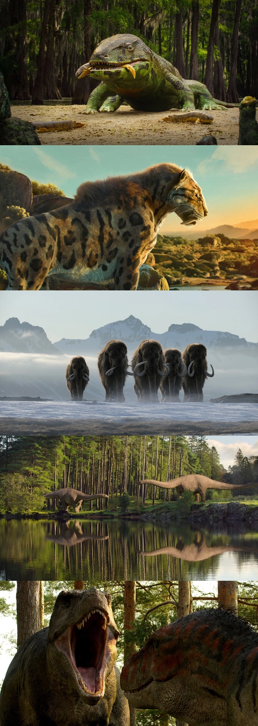 Download Life On Our Planet | 2023 | Season 1 | {Hindi- English}| Netflix Original Web Series | 480p 720p 1080p
