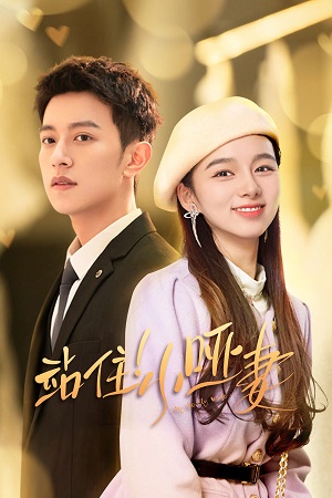 Download My Lovely Wife (Season 1) Hindi ORG Dubbed C-Drama Series 480p 720p & 1080p WEB-DL