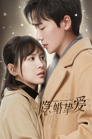 Download Hidden Marriage Love (Season 1) Dual Audio {Hindi-English} Series 480p 720p & 1080p WebRip